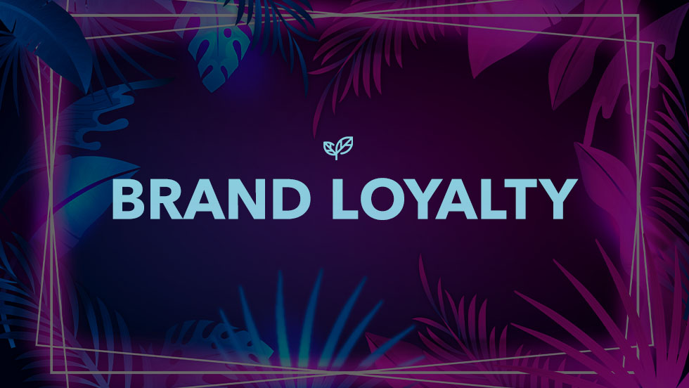 How To Convert TikTok Engagement Into Brand Loyalty