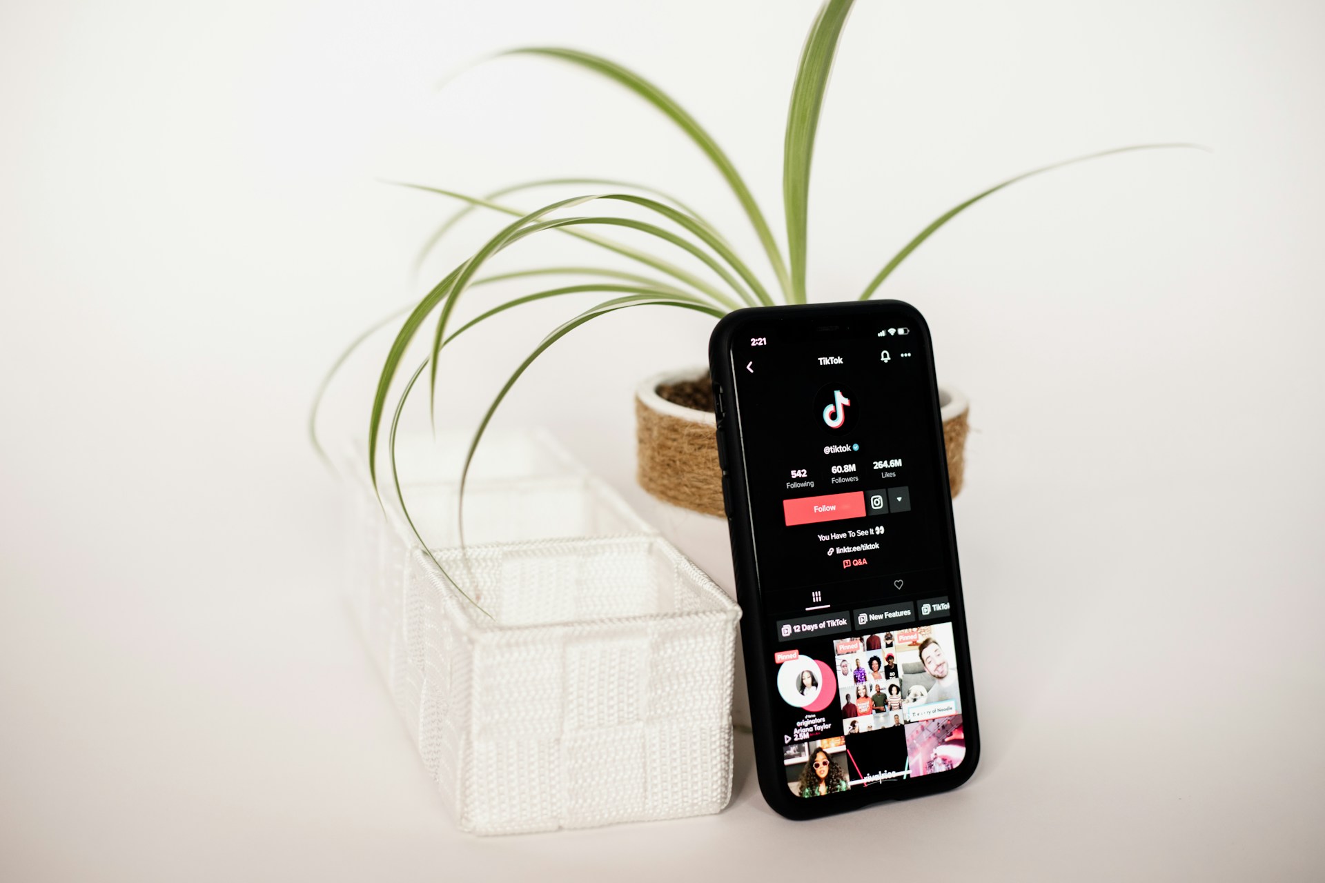 How to Add Linktree to Your TikTok Bio